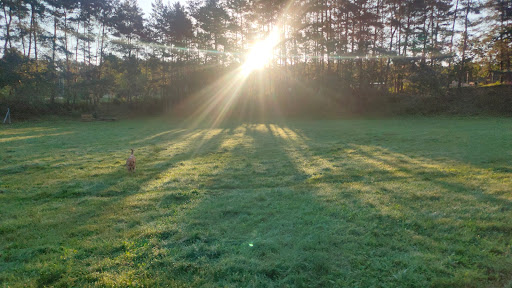 Hundefreilaufplatz Bad Bevensen - Thumbnail