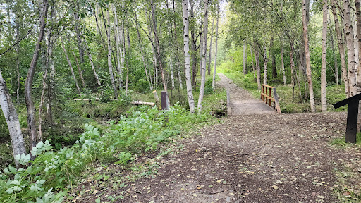 Pfleiger Park - Visual