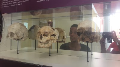 museum