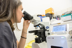 Photo n°7 de Cabinet Vétérinaire Drize à Collonges-sous-Salève (Vétérinaire)