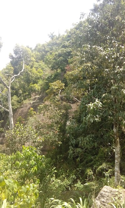 Photos of Patna State - Slide Rock