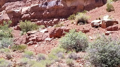 Balanced Rock View