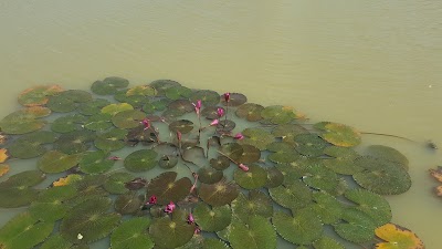 Photos of SHANGHAI Resort Co.,Ltd