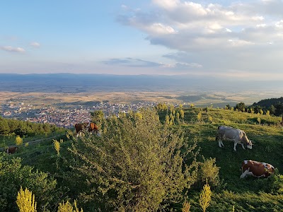 Gerede Keçi Kalesi