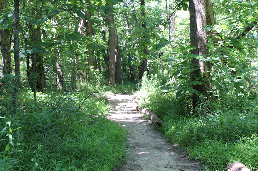 Daubenspeck Community Nature Park - Thumbnail