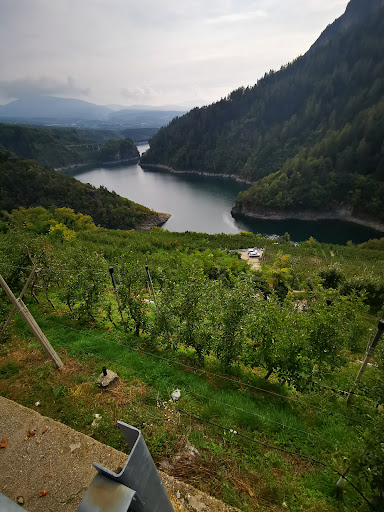 Punto Panoramico sul Lago di Santa Giustina - Thumbnail