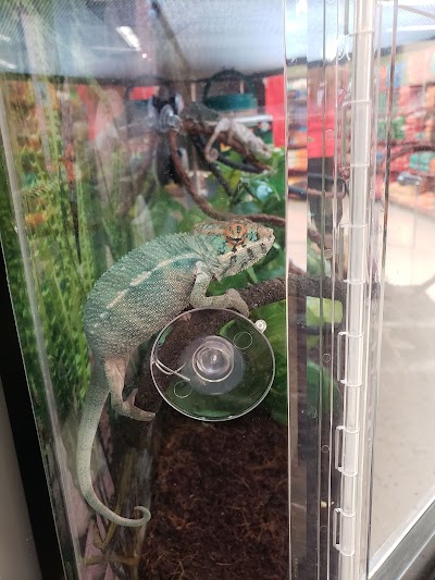 Petco