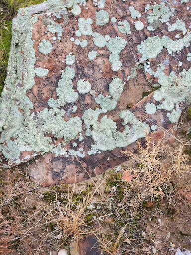 Three Petroglyphs Trail - Thumbnail