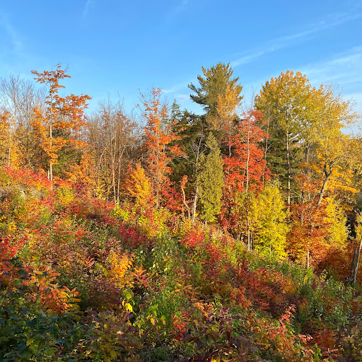 Belvédère des Chutes de Shawinigan - Thumbnail