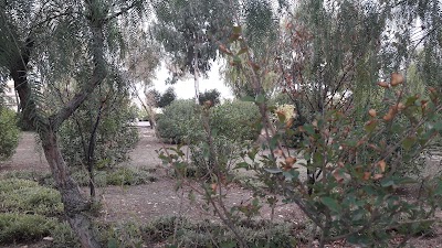 Photos of Mari&eacute;s حديقة العرسان Garden
