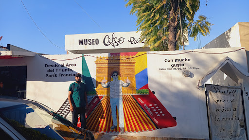 Museo Celso Piña - Thumbnail