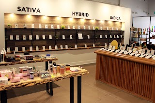 Kasa Kana Cannabis & Accessories | Peterborough Dispensary