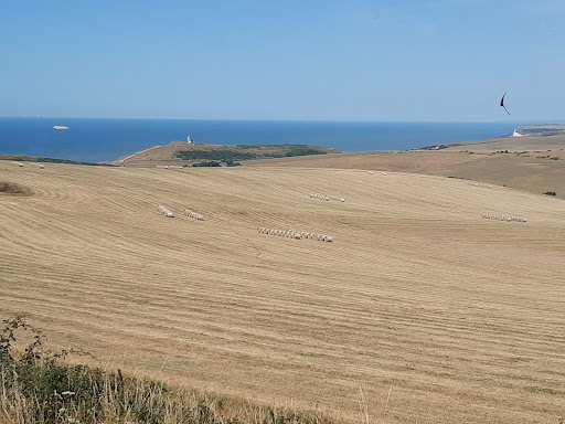 The Beachy Head Story - Thumbnail