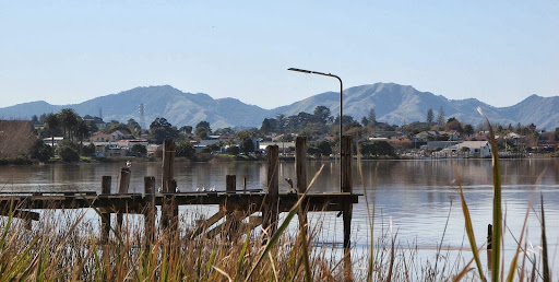 Dargaville Park Over - Thumbnail