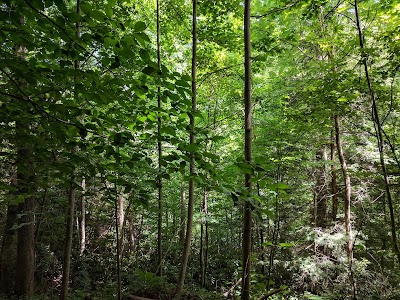Photos of Muir Valley Nature Preserve and Climbing Arena