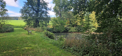 Wanderweg am Neuteichwasser - Thumbnail
