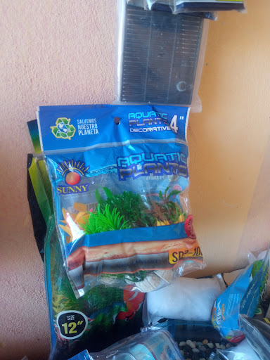 Acuario el pez guero Gallery - Mexico