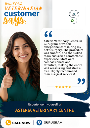Asteria Veterinary Centre in Gurugram offers expert surgical services to ensure your pet's health… post image