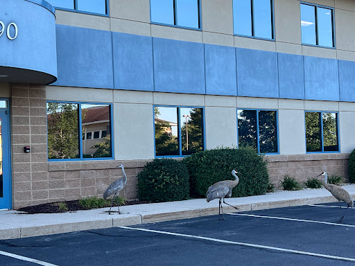Dedicated Family Care
