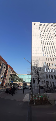 Charité - Campus Mitte (Berlin) - Thumbnail