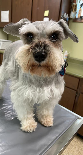 Kirksville Small Animal Hospital Gallery - United States