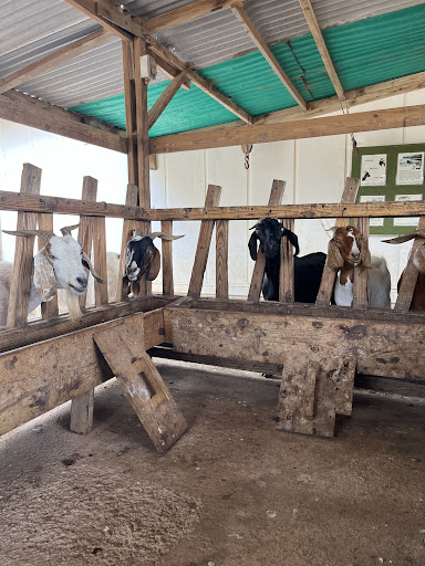 Aletta's Goat Farm - Thumbnail