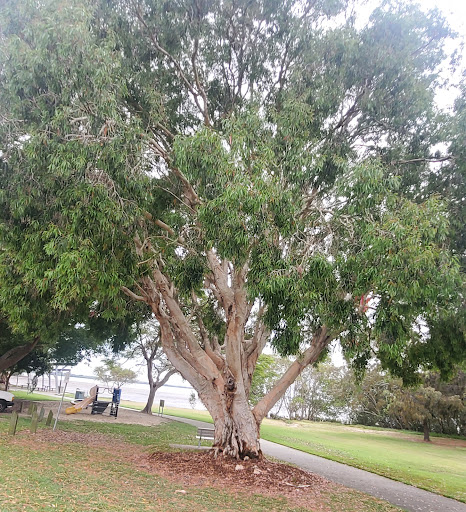 Esplanade S Park - Thumbnail