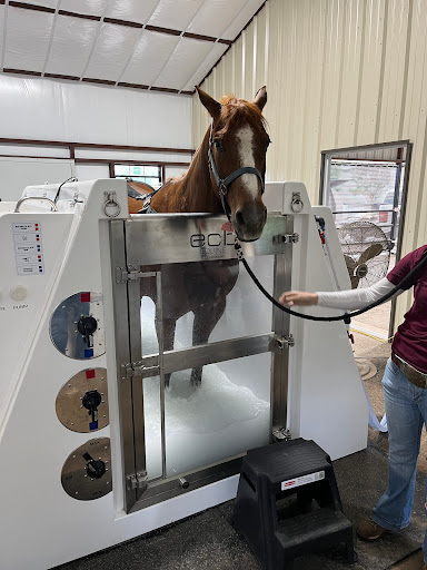 Athens Equine - Todd K. Laughrey DVM, PC - Thumbnail