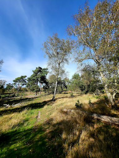 Beegderheide - Visual