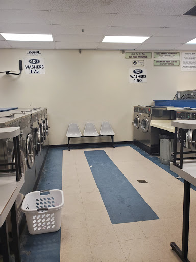Dellview Laundry - Visual