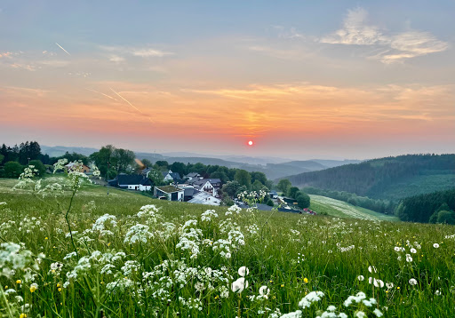 Steinbergs Wildewiese - Thumbnail