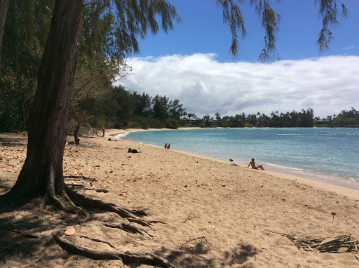Donna's Detours - Private Tours of Oahu Off the Beaten Path - United States