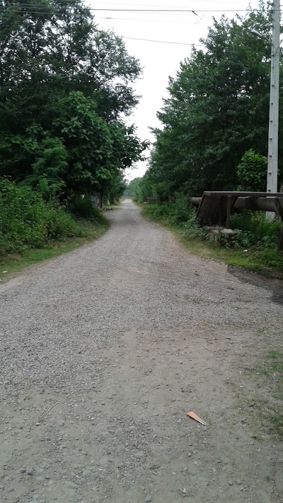 Photos of Bayat Park