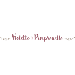 Photo n°29 de Violette Et Pimprenelle à Alençon (Fleuriste)
