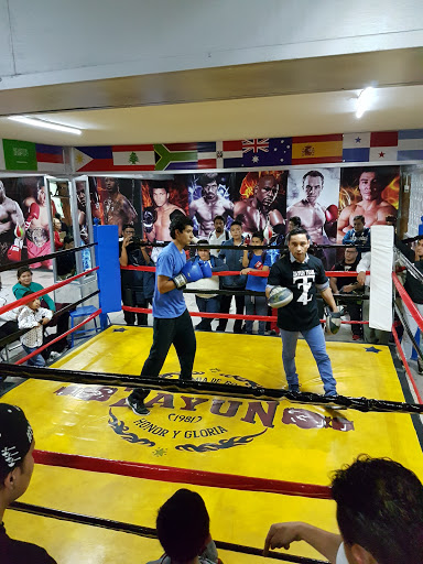 Academia De Boxeo Zayun Logo