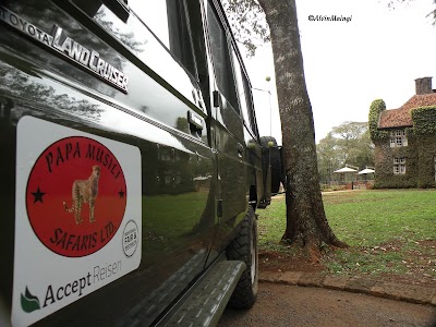 Photos of Papa Musili Safaris Ltd