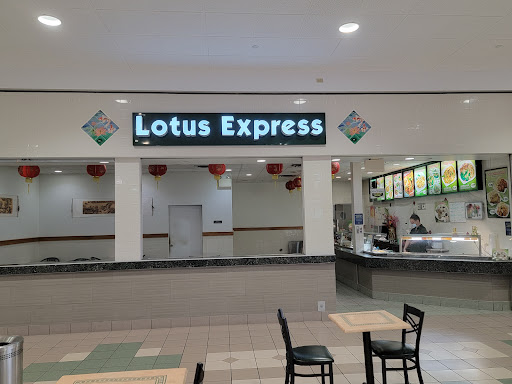 Chen's Lotus Express - Thumbnail