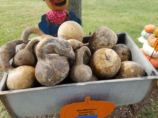 Rinkel Pumpkin Farm - Thumbnail