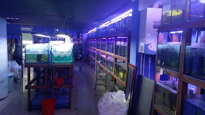 Ansar production house - Aquarium Store