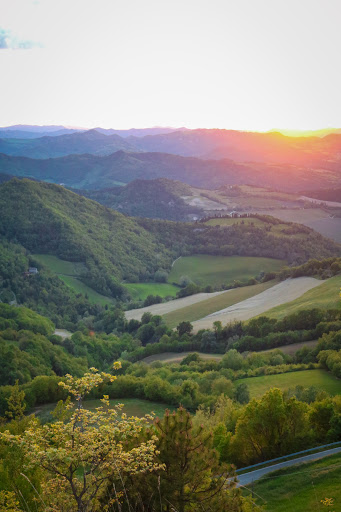 Monte Trebbio 604m - Visual