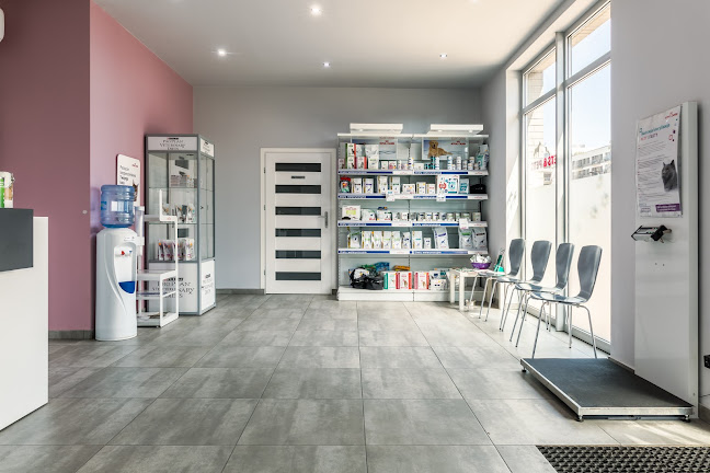 Gabinet weterynaryjny Vets&Pets | Weterynarz Wrocław Śródmieście - Wrocław