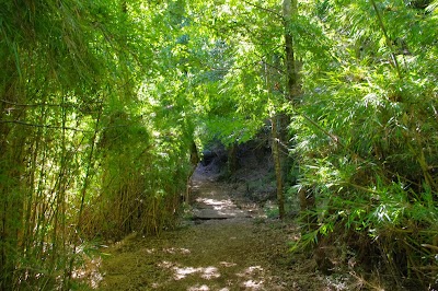 Photos of Tolhuaca National Park