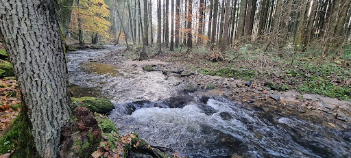 Buchaberger Kapelle