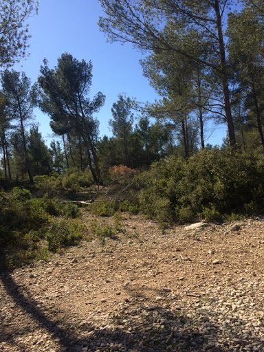 Parcours Sportif d'Ensuès-la-Redonne - Thumbnail