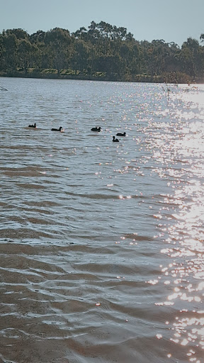Inchiquin Lake - Thumbnail