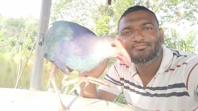 Photos of Amvita Agro Farm