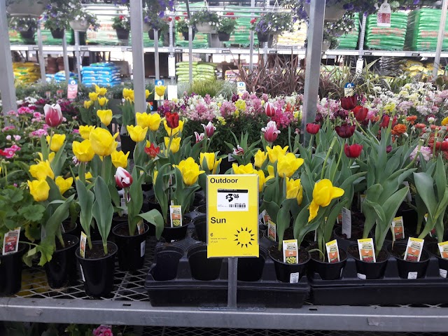 The Home Depot