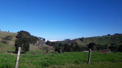 Photos of Zarcero Siempre VERDE S.A