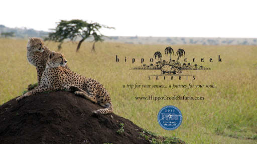 Hippo Creek Safaris - Thumbnail