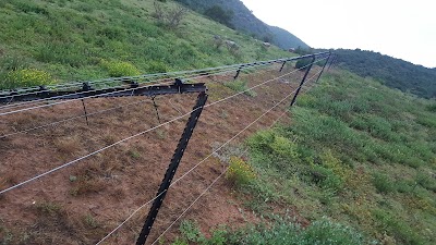 Photos of Nyathi Rest Camp